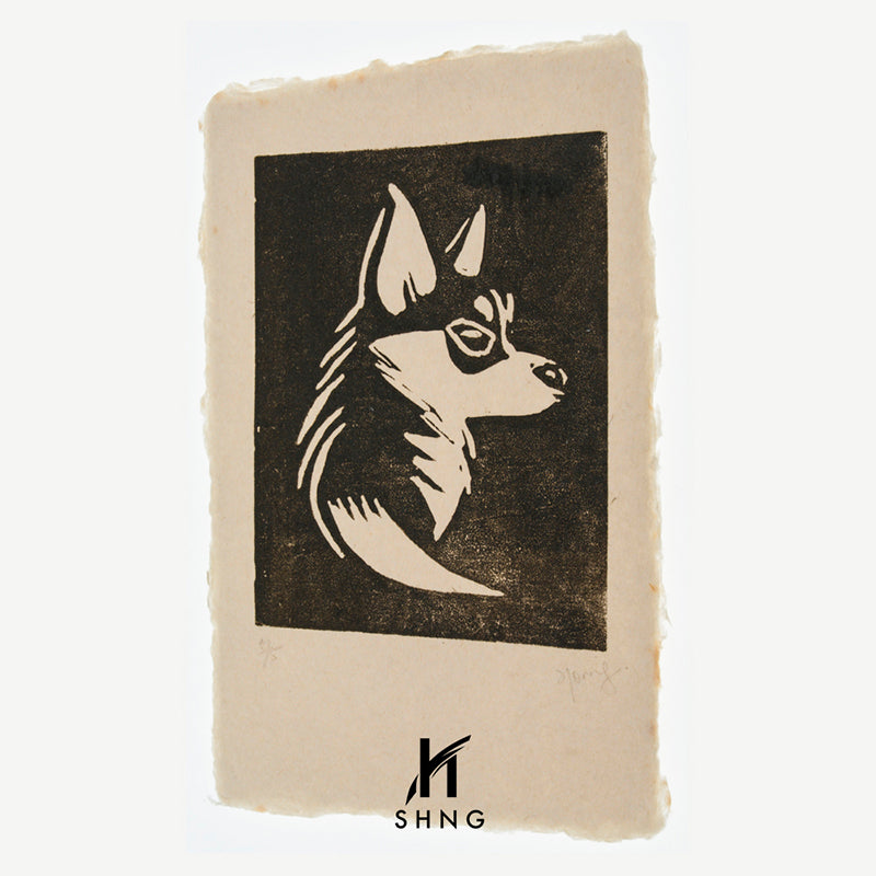 Paw 01