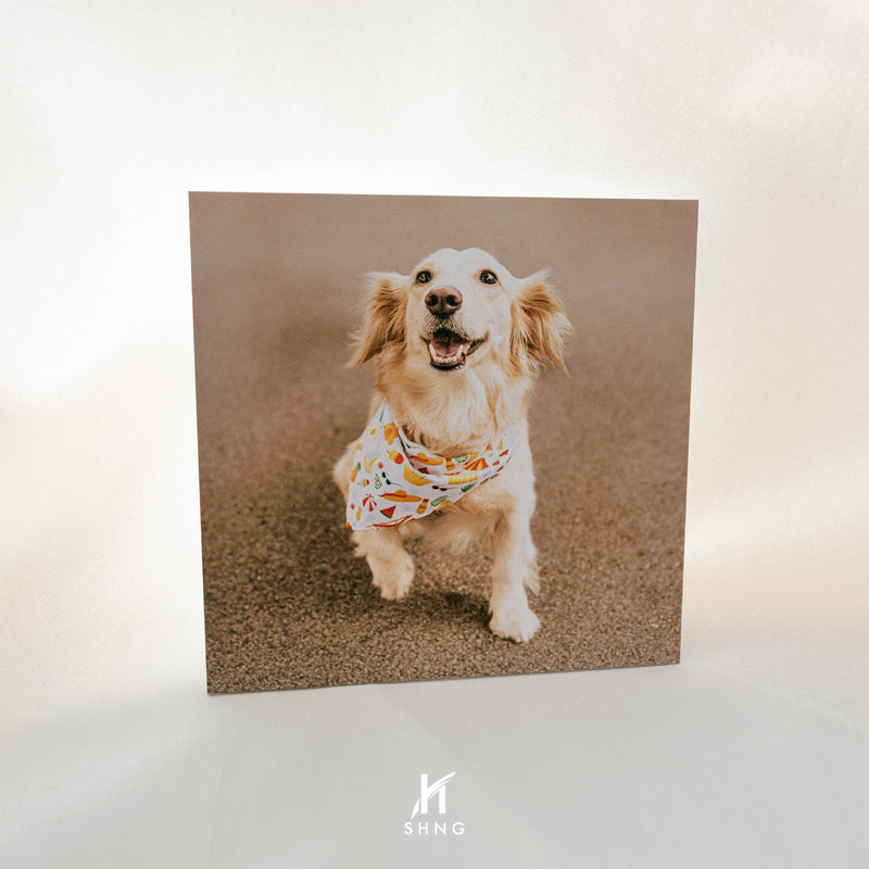 Professional UV Printing Services | Bring Your Photos to Life