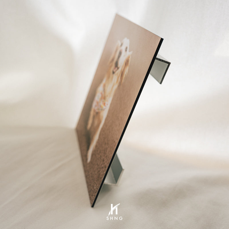 Professional UV Printing Services | Bring Your Photos to Life